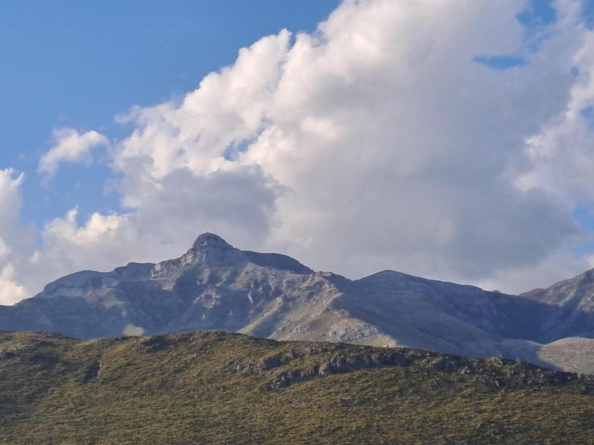 La Campagna Di Peppe E Tullia Bed & Breakfast Formia Luaran gambar