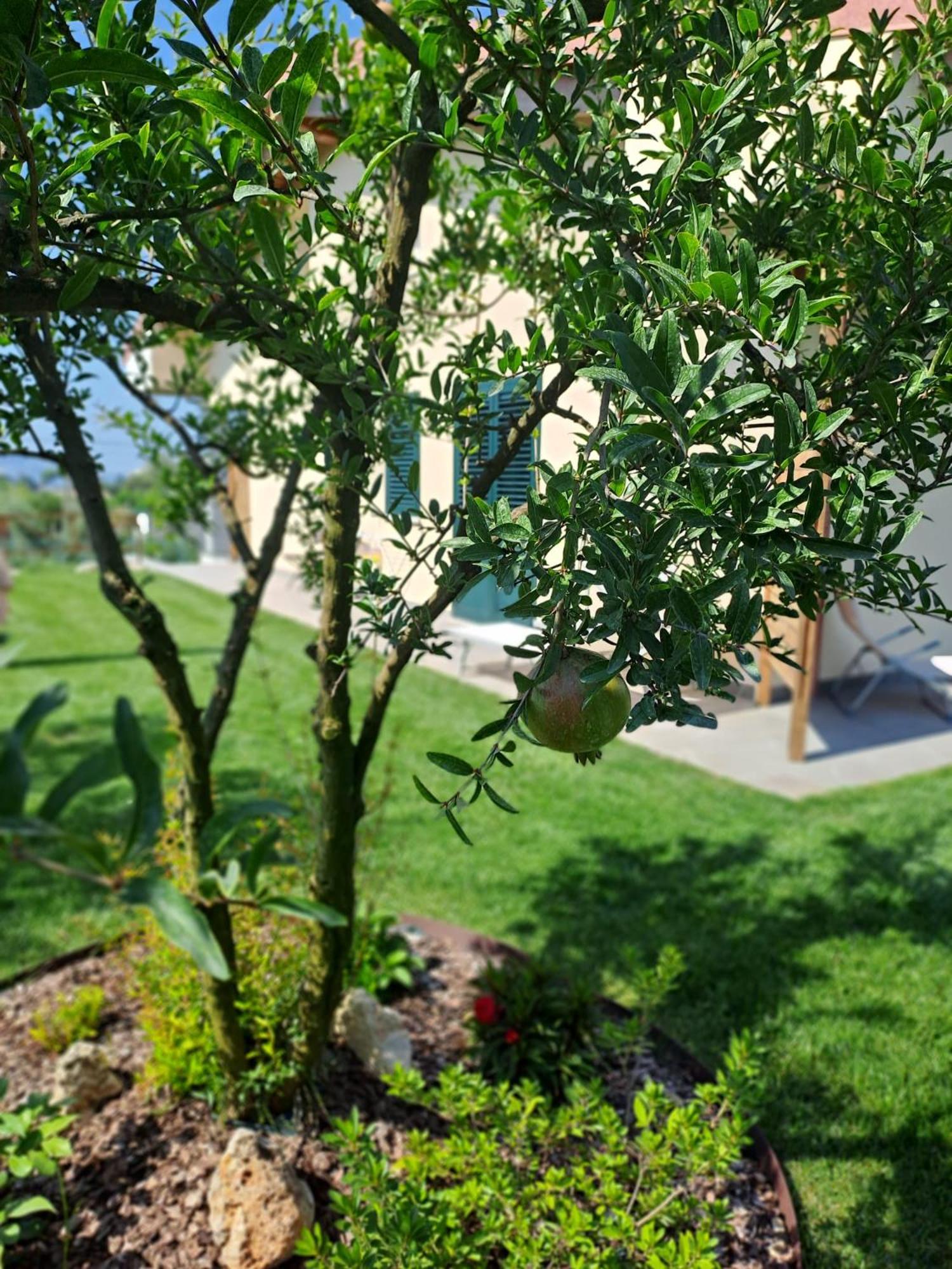 La Campagna Di Peppe E Tullia Bed & Breakfast Formia Luaran gambar