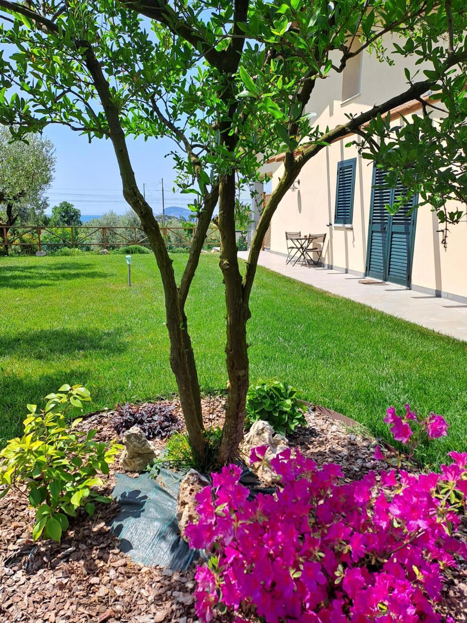 La Campagna Di Peppe E Tullia Bed & Breakfast Formia Luaran gambar